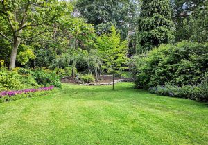 Optimiser l'expérience du jardin à Saint-Frezal-d'Albuges